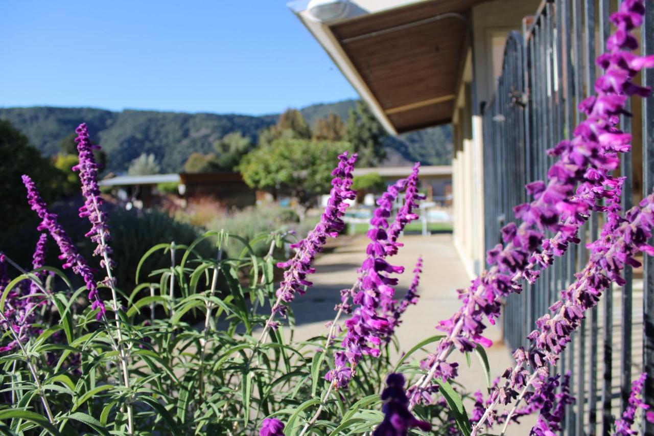 Contenta Inn Carmel Valley Ngoại thất bức ảnh